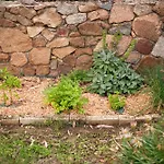 Casa Suestellas Сasa de vacaciones *
